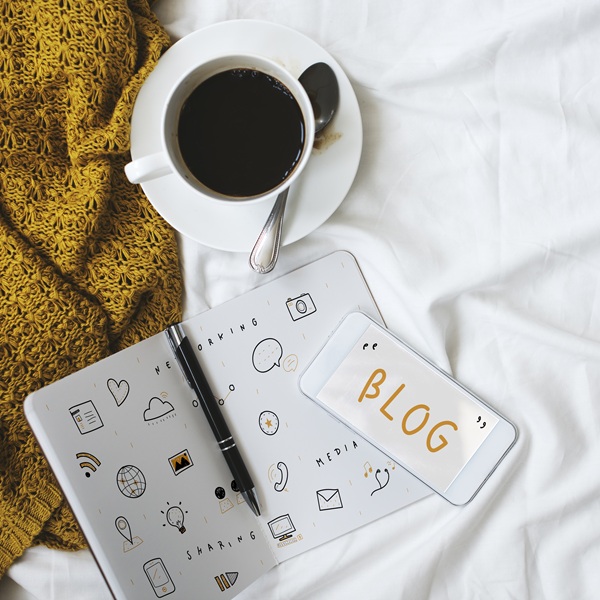 Guest Posts or Link Inserts?